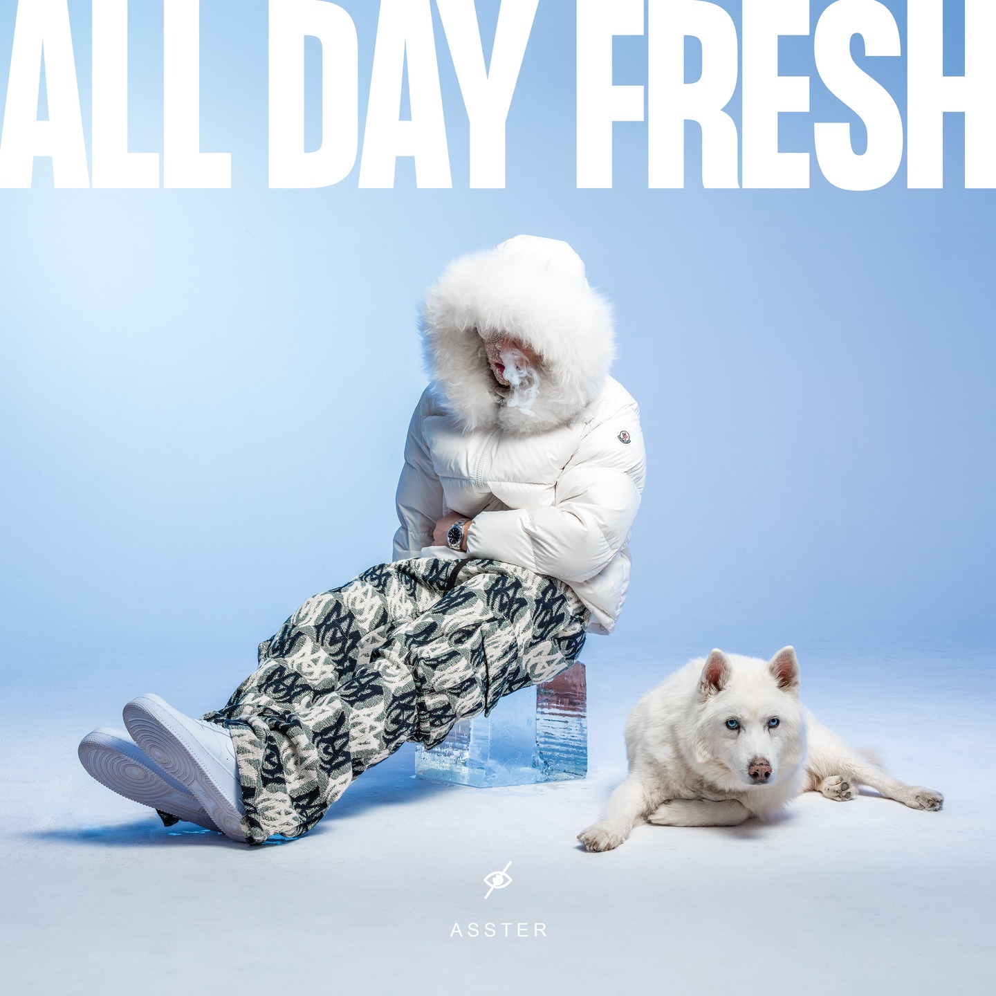 Asster | ALL DAY FRESH